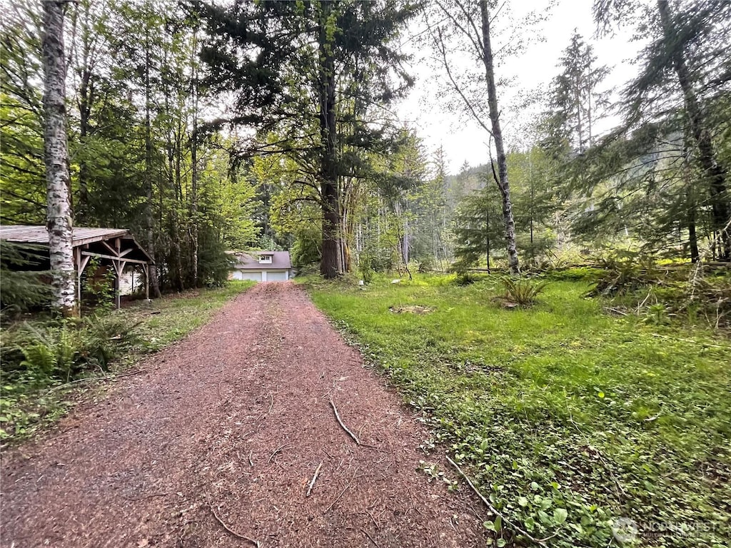 33823 State Route 706 Unit 4, Ashford, WA 98304