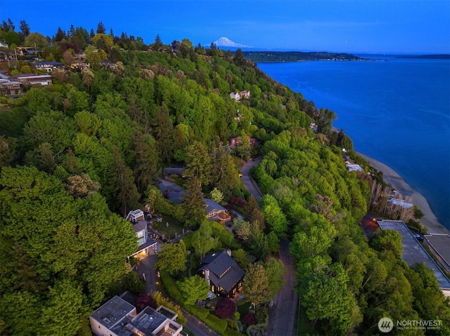 10208 47th Ave SW, Seattle, WA 98146 - aerial view of property and surrounding area with a forest and a nearby body of water