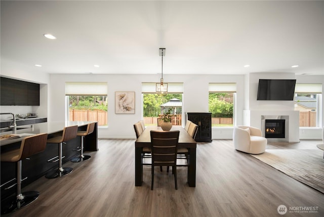 12421 Harwood Cove Ln SW, Lakewood, WA 98498 - dining room featuring healthy amount of natural light, wood finished floors, a glass covered fireplace, recessed lighting, and baseboards