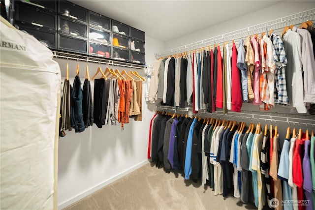 12421 Harwood Cove Ln SW, Lakewood, WA 98498 - walk in closet with carpet floors