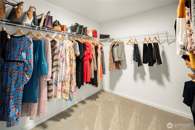 12421 Harwood Cove Ln SW, Lakewood, WA 98498 - walk in closet with carpet flooring