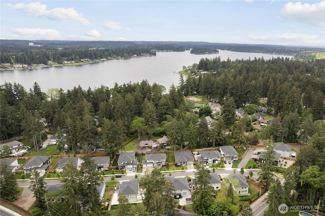 12421 Harwood Cove Ln SW, Lakewood, WA 98498 - aerial view of property and surrounding area with a large body of water, nearby suburban area, and a heavily wooded area