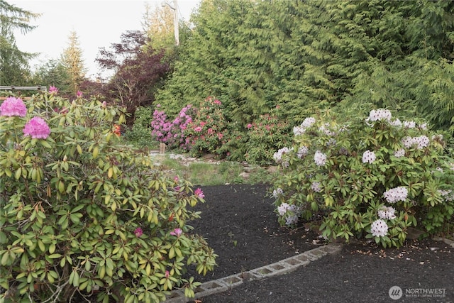 21833 127th Ave SE, Snohomish, WA 98296 - view of yard