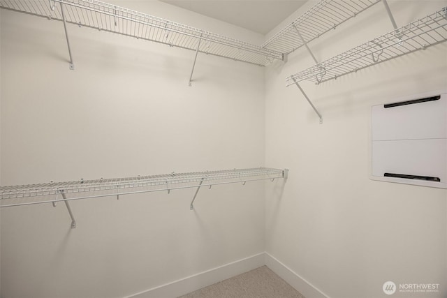 8008 222nd St SW, Edmonds, WA 98026 - walk in closet featuring carpet flooring