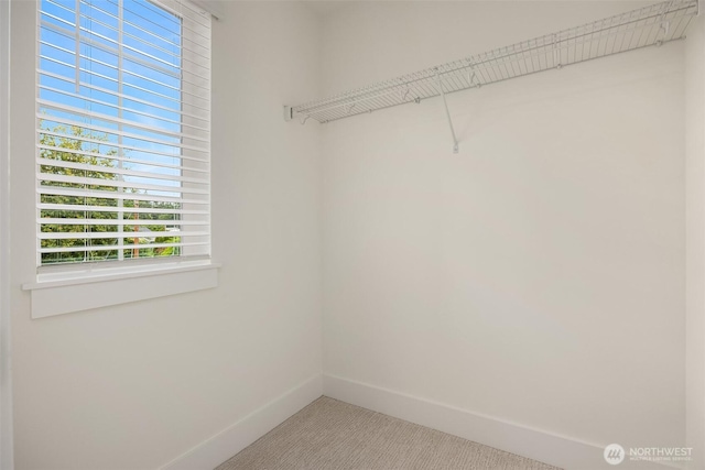 8008 222nd St SW, Edmonds, WA 98026 - spacious closet with carpet