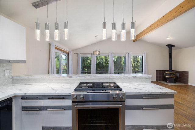 87 Swinomish Dr, La Conner, WA 98257 - kitchen featuring stainless steel gas stove, dishwasher, a wood stove, and healthy amount of natural light