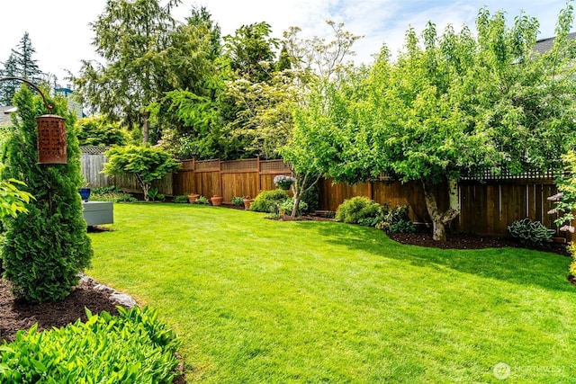 805 E Pacificview Dr, Bellingham, WA 98229 - view of yard