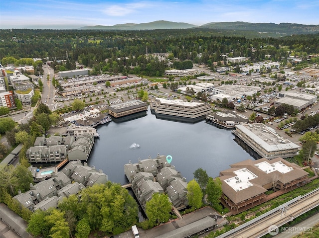 7 Lake Bellevue Dr Unit 109, Bellevue, WA 98005 - drone / aerial view of a water and mountain view and a forest