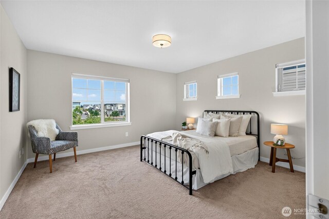704 Springside Ln, Bellingham, WA 98226 - carpeted bedroom with baseboards