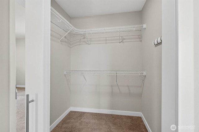 704 Springside Ln, Bellingham, WA 98226 - spacious closet featuring carpet floors