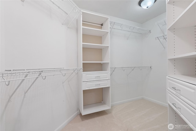 22309 1st Dr SE, Bothell, WA 98021 - spacious closet featuring light colored carpet