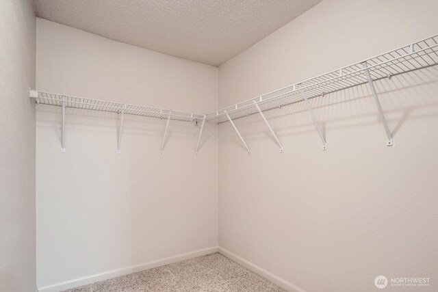 23723 12th Pl S Unit 2005, Des Moines, WA 98198 - spacious closet with carpet floors