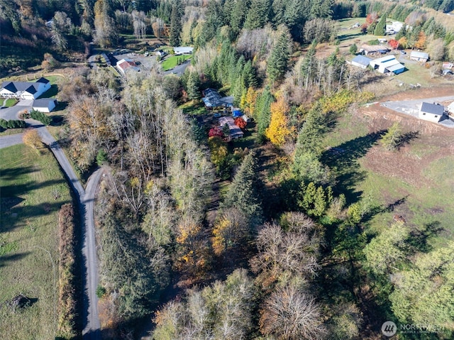 15010 NE 403rd St, Amboy, WA 98601 - aerial view of property's location featuring a forest