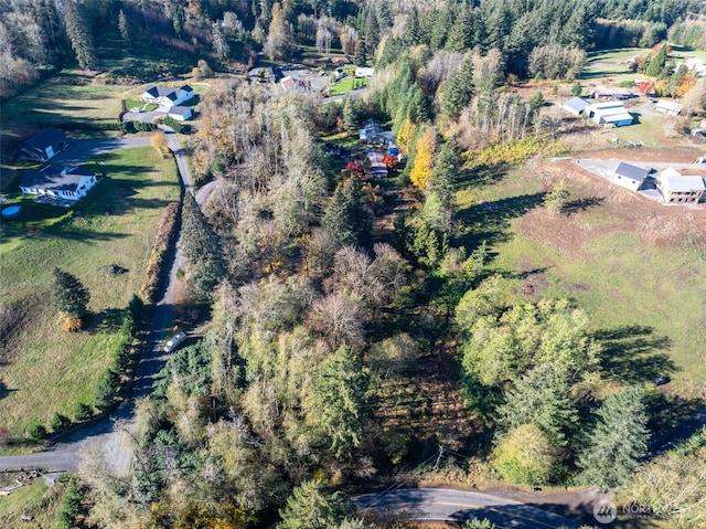 15010 NE 403rd St, Amboy, WA 98601 - aerial overview of property's location with a heavily wooded area