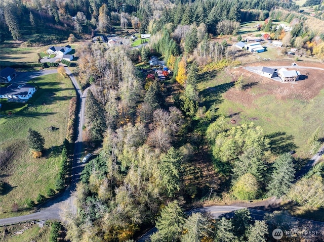 15010 NE 403rd St, Amboy, WA 98601 - view of property location featuring a heavily wooded area