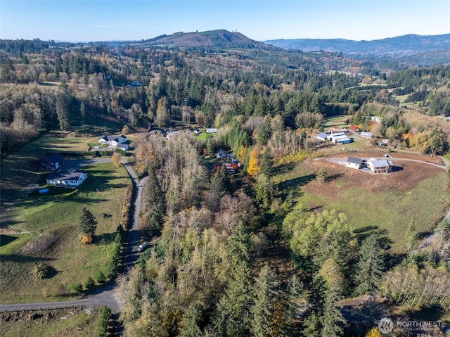 15010 NE 403rd St, Amboy, WA 98601 - aerial overview of property's location featuring a mountainous background and a forest