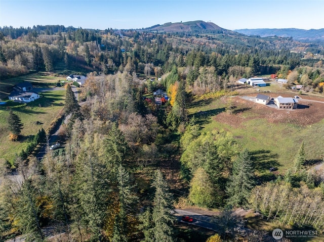 15010 NE 403rd St, Amboy, WA 98601 - aerial overview of property's location with a forest and a mountainous background