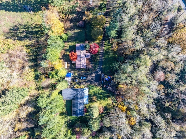 15010 NE 403rd St, Amboy, WA 98601 - aerial view