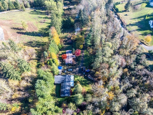 15010 NE 403rd St, Amboy, WA 98601 - aerial view of property and surrounding area