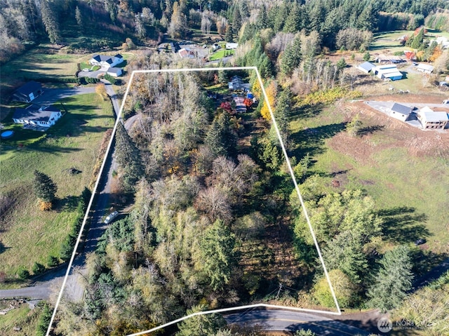 15010 NE 403rd St, Amboy, WA 98601 - aerial overview of property's location featuring property boundaries highlighted