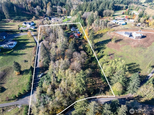15010 NE 403rd St, Amboy, WA 98601 - aerial view of property and surrounding area with property parcel outlined and a heavily wooded area