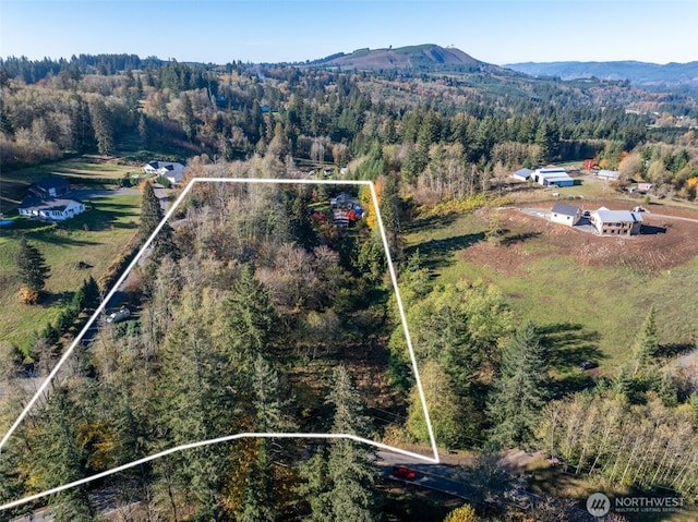 15010 NE 403rd St, Amboy, WA 98601 - view of property location featuring property parcel outlined, a heavily wooded area, and a mountain backdrop