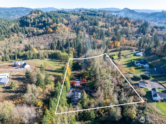 15010 NE 403rd St, Amboy, WA 98601 - aerial overview of property's location with property boundaries highlighted, a mountainous background, and a heavily wooded area