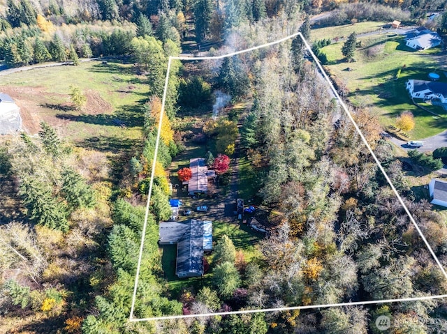 15010 NE 403rd St, Amboy, WA 98601 - view of property location with property parcel outlined