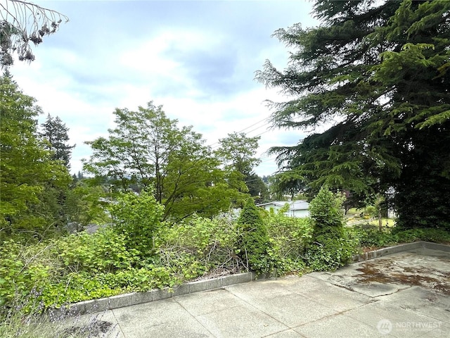 3114 13th St, Bremerton, WA 98312 - photo 40