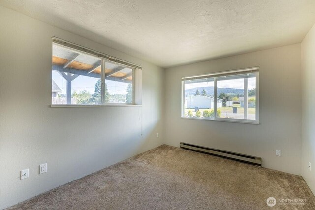 301 E Silberhorn Rd, Sequim, WA 98382 - carpeted empty room with baseboard heating and plenty of natural light