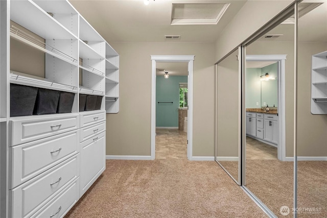 6503 Wrangler Dr SE, Tumwater, WA 98501 - walk in closet featuring light carpet and attic access