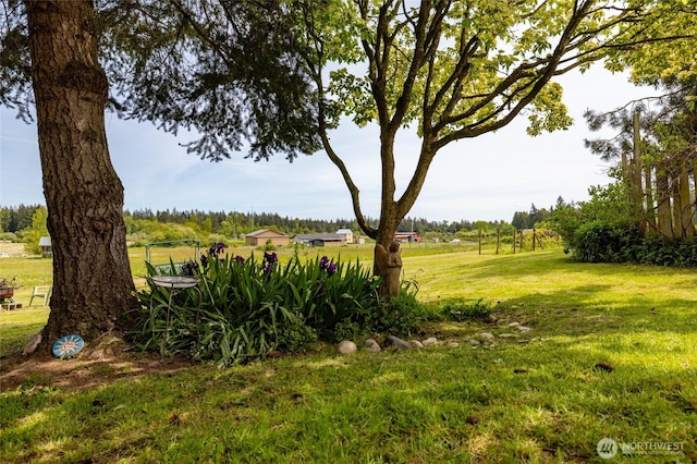 view of green lawn