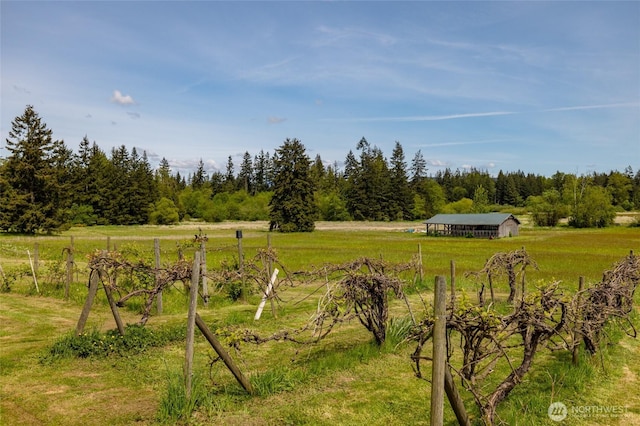 view of green lawn featuring a rural view, an outdoor structure, a pole building, and a view of trees