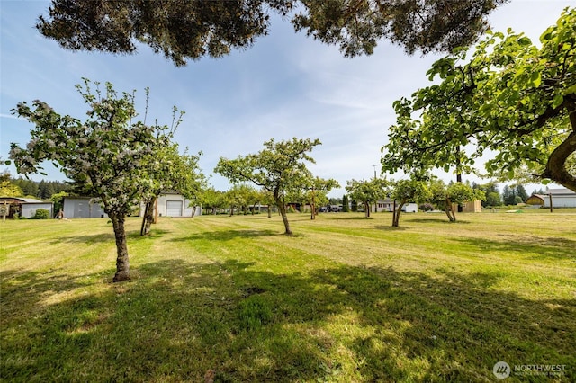 view of green lawn with a garage