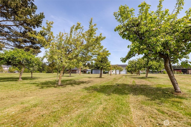 view of grassy yard