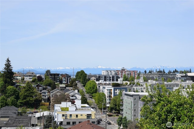 4808 38th Ave SW, Seattle, WA 98126 - view of city featuring mountains