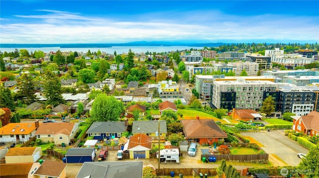 4808 38th Ave SW, Seattle, WA 98126 - drone / aerial view of a large body of water