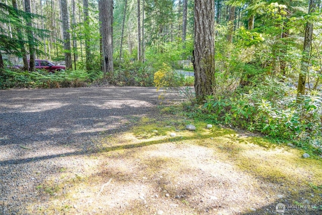 430 N Dow Creek Dr, Hoodsport, WA 98548 - photo 9
