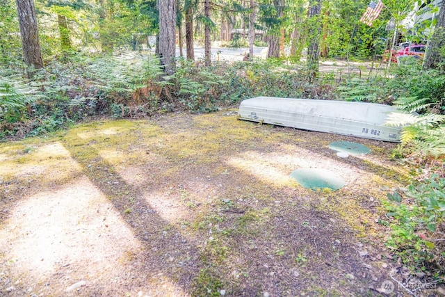 430 N Dow Creek Dr, Hoodsport, WA 98548 - photo 12