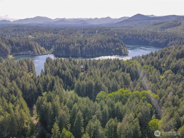 430 N Dow Creek Dr, Hoodsport, WA 98548 - photo 14