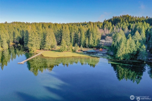 430 N Dow Creek Dr, Hoodsport, WA 98548 - photo 23