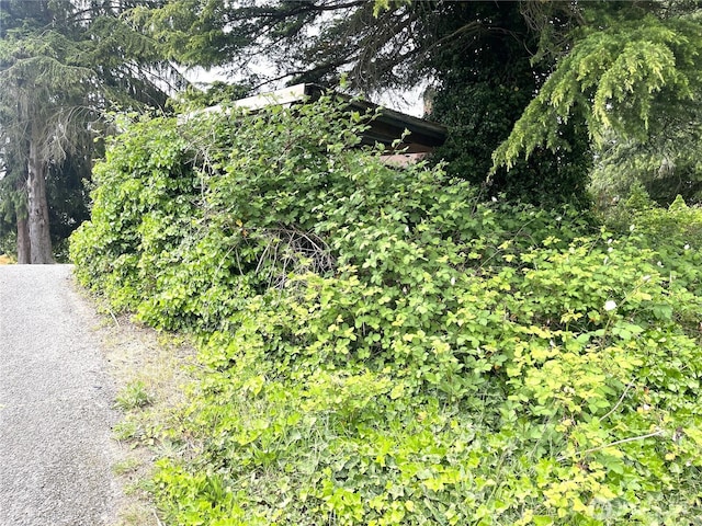 1303 Times Ave, Bremerton, WA 98312 - photo 1