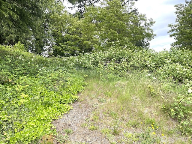 1303 Times Ave, Bremerton, WA 98312 - photo 2