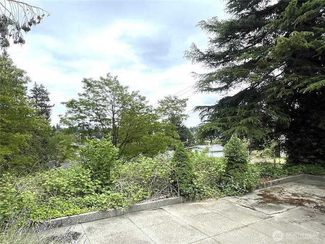 1303 Times Ave, Bremerton, WA 98312 - photo 15