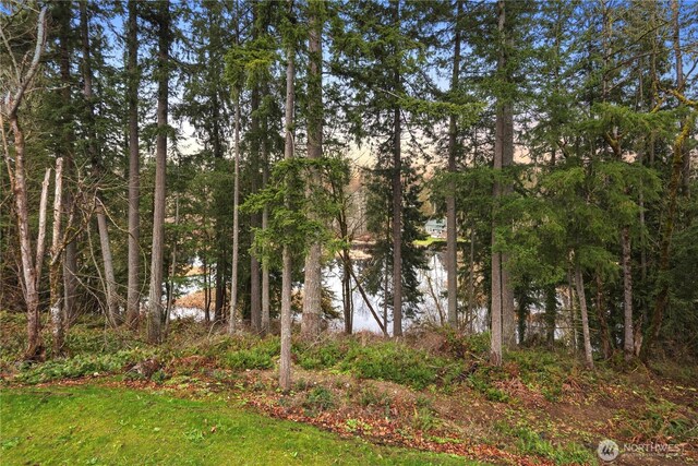 16250 SE Lake Moneysmith, Auburn, WA 98092 - view of yard