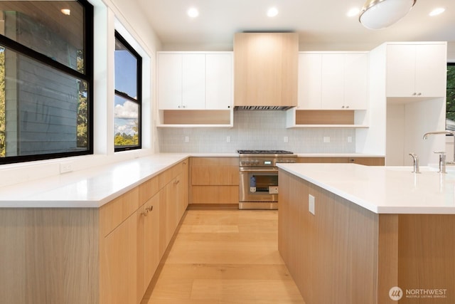 706 N 59th St, Seattle, WA 98103 - kitchen with high end stainless steel range, modern cabinets, premium range hood, light wood-type flooring, and a sink
