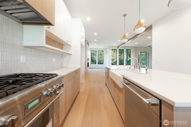 706 N 59th St, Seattle, WA 98103 - kitchen featuring modern cabinets, appliances with stainless steel finishes, a sink, light wood-style flooring, and light brown cabinets