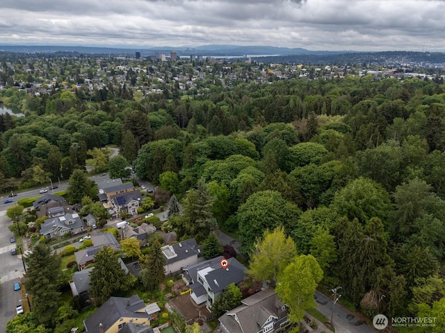 706 N 59th St, Seattle, WA 98103 - aerial view of property and surrounding area with a forest and nearby suburban area