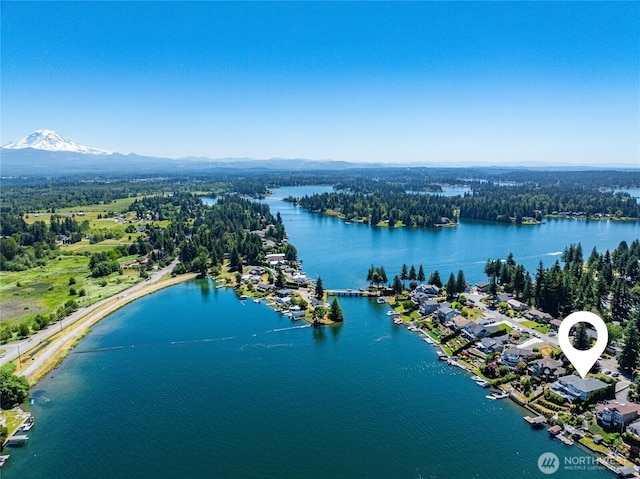 2815 211th Ave E, Lake Tapps, WA 98391 - drone / aerial view of a water and mountain view