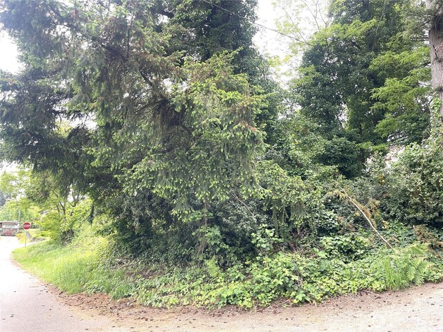 1309 Times Ave, Bremerton, WA 98312 - photo 8